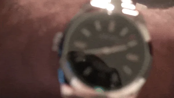 23 Investment, Mastentrax 2.1 review, Mastentrax 2.1 scam, Mastentrax 2.1 opinions, Mastentrax 2.1 price, Mastentrax 2.1 investment trading bot; artificial intelligence trading, investment algorithm software, ai stock trading bot, deep learning investment, ai investment, artificial intelligence trading